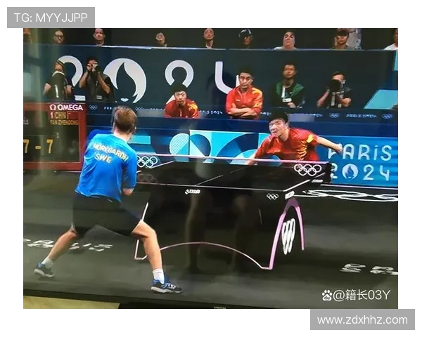 杭州乒乓球队在全国耐力排行榜中荣获第三名展现出卓越实力与拼搏精神